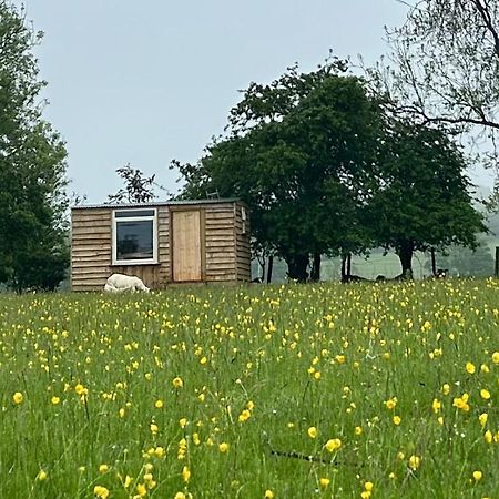 Hotel Off Grid Shepherds Hut Llansilin Exterior foto