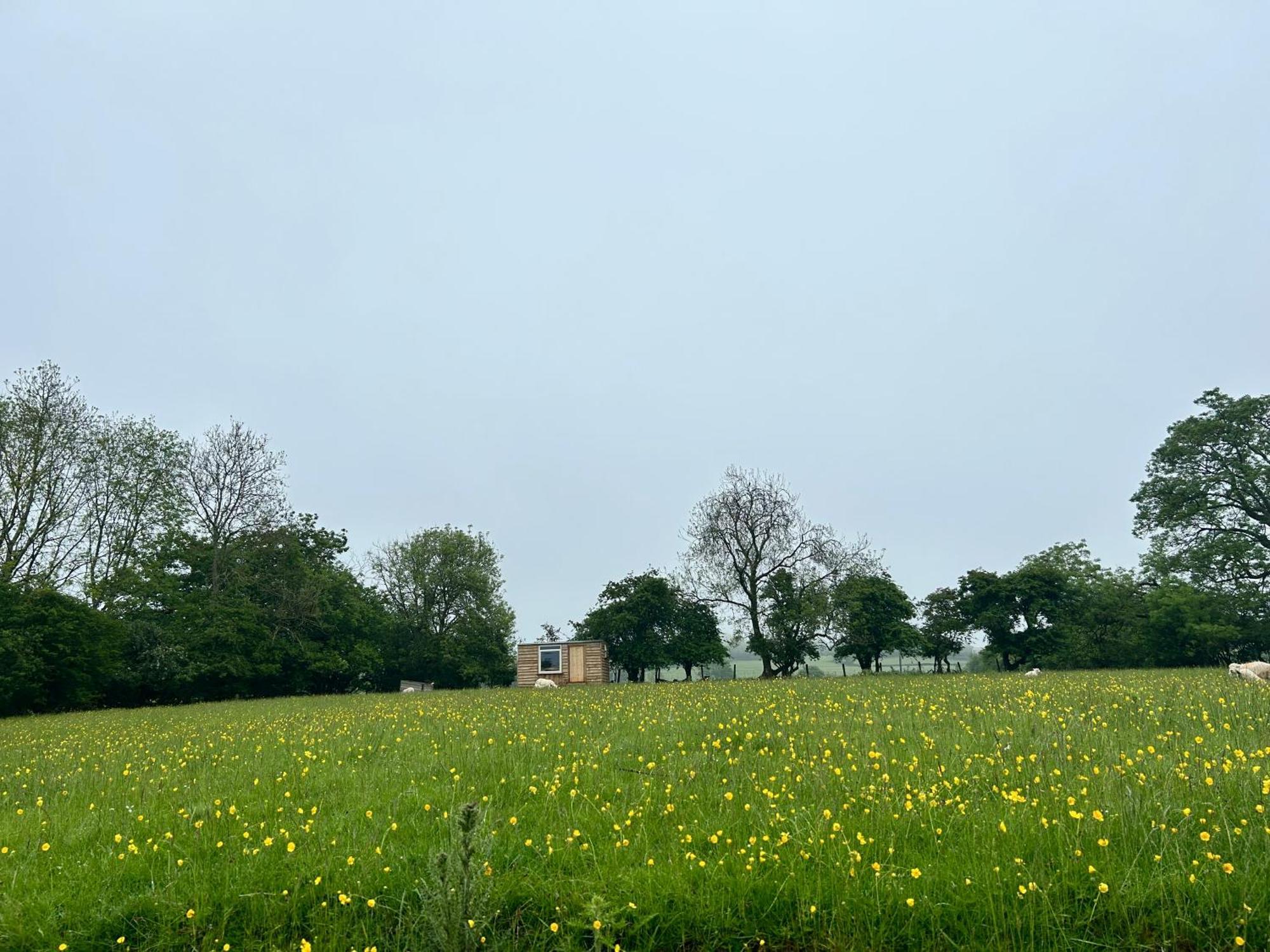 Hotel Off Grid Shepherds Hut Llansilin Exterior foto
